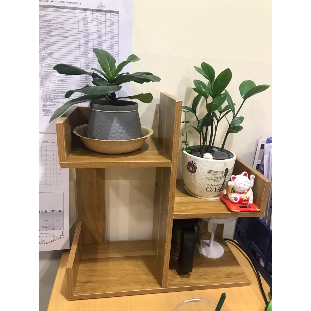 Kệ xương rồng mini, kệ sách gỗ để bàn lắp ghép hình cây trang trí bàn làm việc để sách, để đồ đa năng ND26 | BigBuy360 - bigbuy360.vn