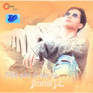 Đĩa cd jimmii nguyễn - tình như lá bay xa - phôi phono verbatim bìa màu