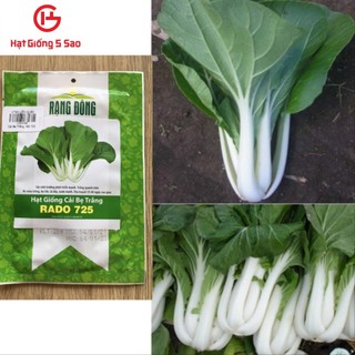 Cải Bẹ Trắng RĐ 725