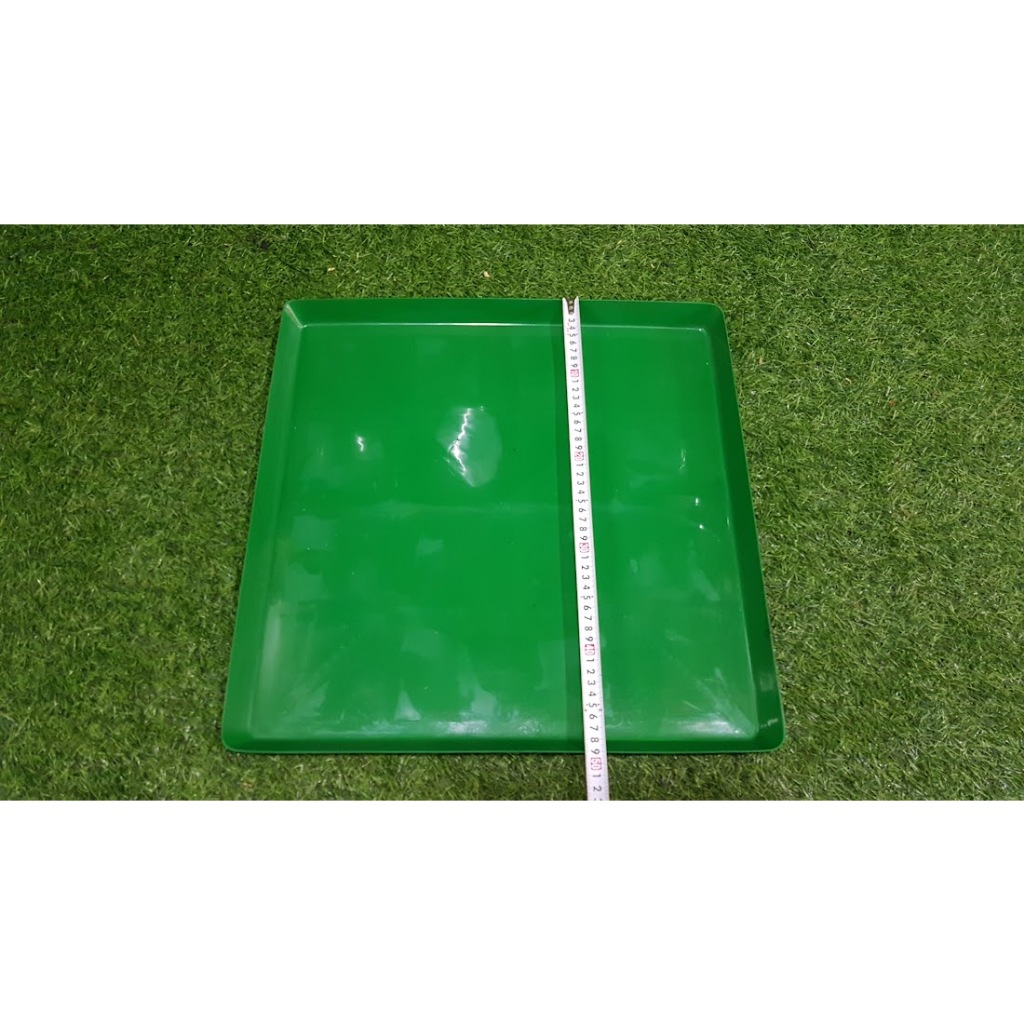 Combo 5 khay xanh 50-50-3cm đựng nước trồng lan ươm giống Và lót chuồng thú cưng