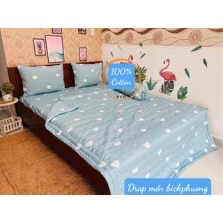 Bộ Drap 100% Cotton cao cấp Kèm Mền Chần Gòn, chăngagoi.