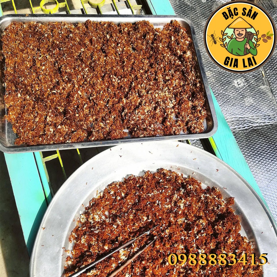 Muối Kiến Vàng JRAI - 70k/hũ 100gr - Đặc Sản Gia Lai