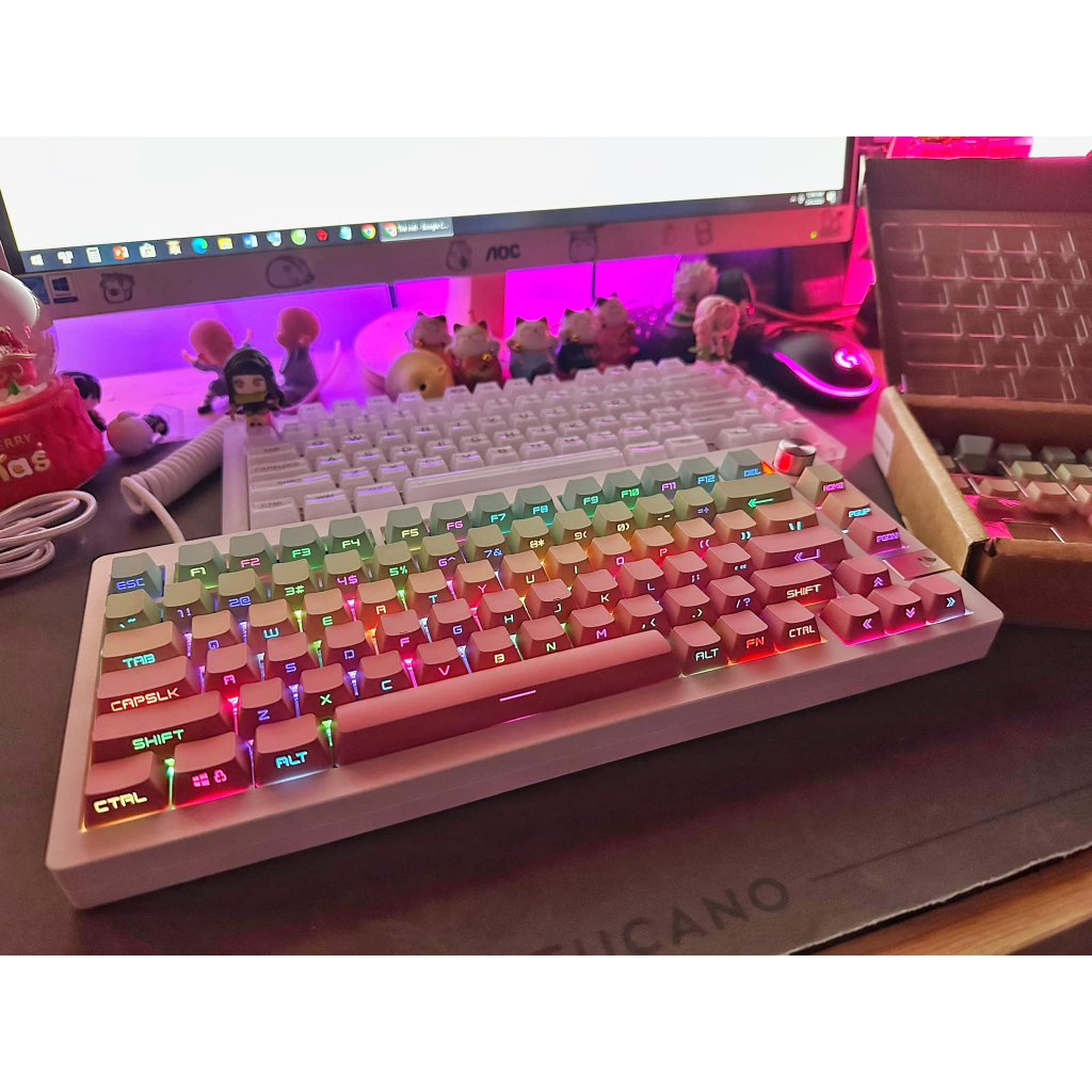 Mẫu keycap xuyên led cao cấp dành cho mạch xuôi profile Oem Dopble shot Pbt Tungcustom