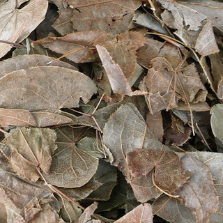 Thảo dược Dâm Dương Hoắc khô Ngâm Rượu loại 1 đóng gói 500g