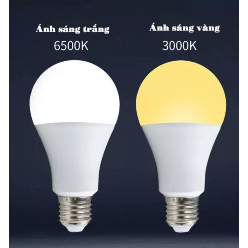 COMBO 50 bóng led 3w