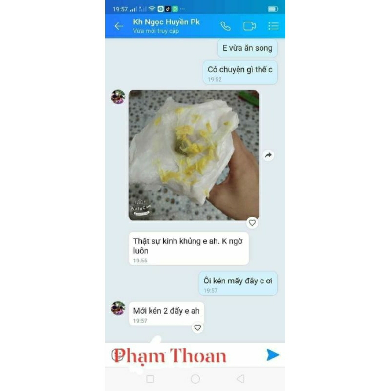 Phụ khoa Lan chi: hộp 12 kén tặng hộp cốt ngâm