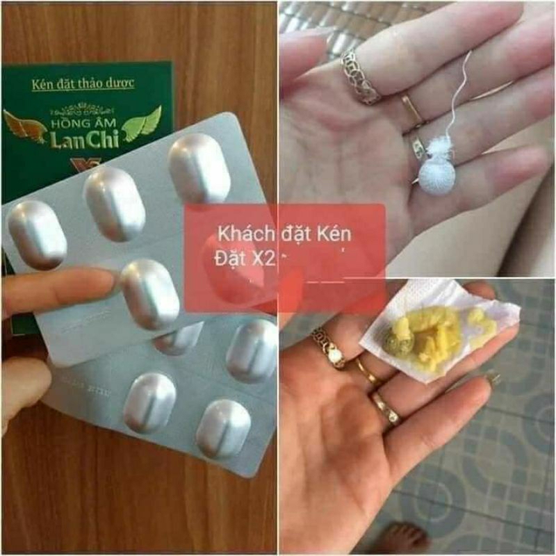 Phụ khoa Lan chi: hộp 12 kén tặng hộp cốt ngâm