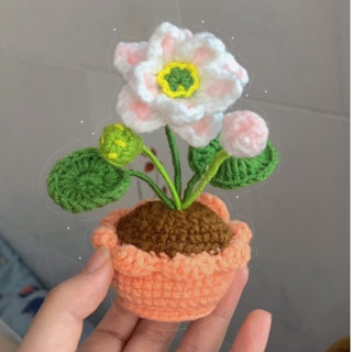 Chậu hoa sen mini bằng len dễ thưn 🪷