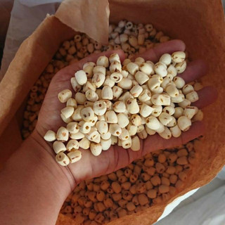 [ Loại 1 ] Hạt Sen Sấy Khô Đồng Tháp 100gr ( đã bỏ tim )