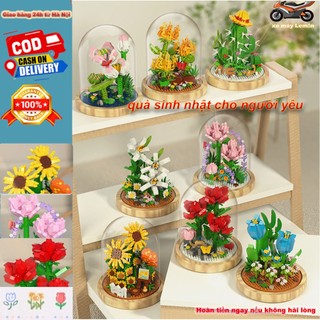 Mô hình lắp ráp LEGO trưng bày hoa Mô hình lắp ráp bông hoa dễ thương kèm lồng và đế