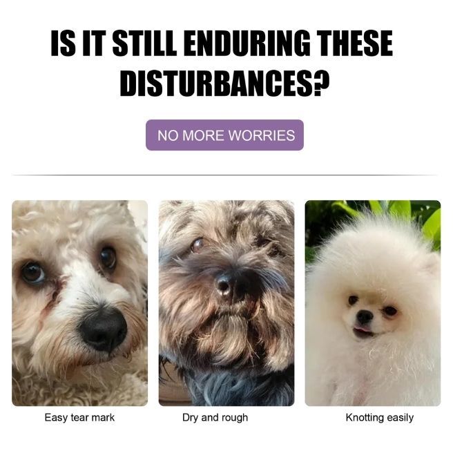 Yegbong - kem xả lông cho chó mèo chống rối - Goumao pet