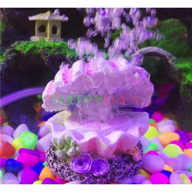 Mô Hình Vỏ Sò Trang Trí Hồ Cá - Có Thể Kết Hợp Máy Bơm Để Sủi Oxi