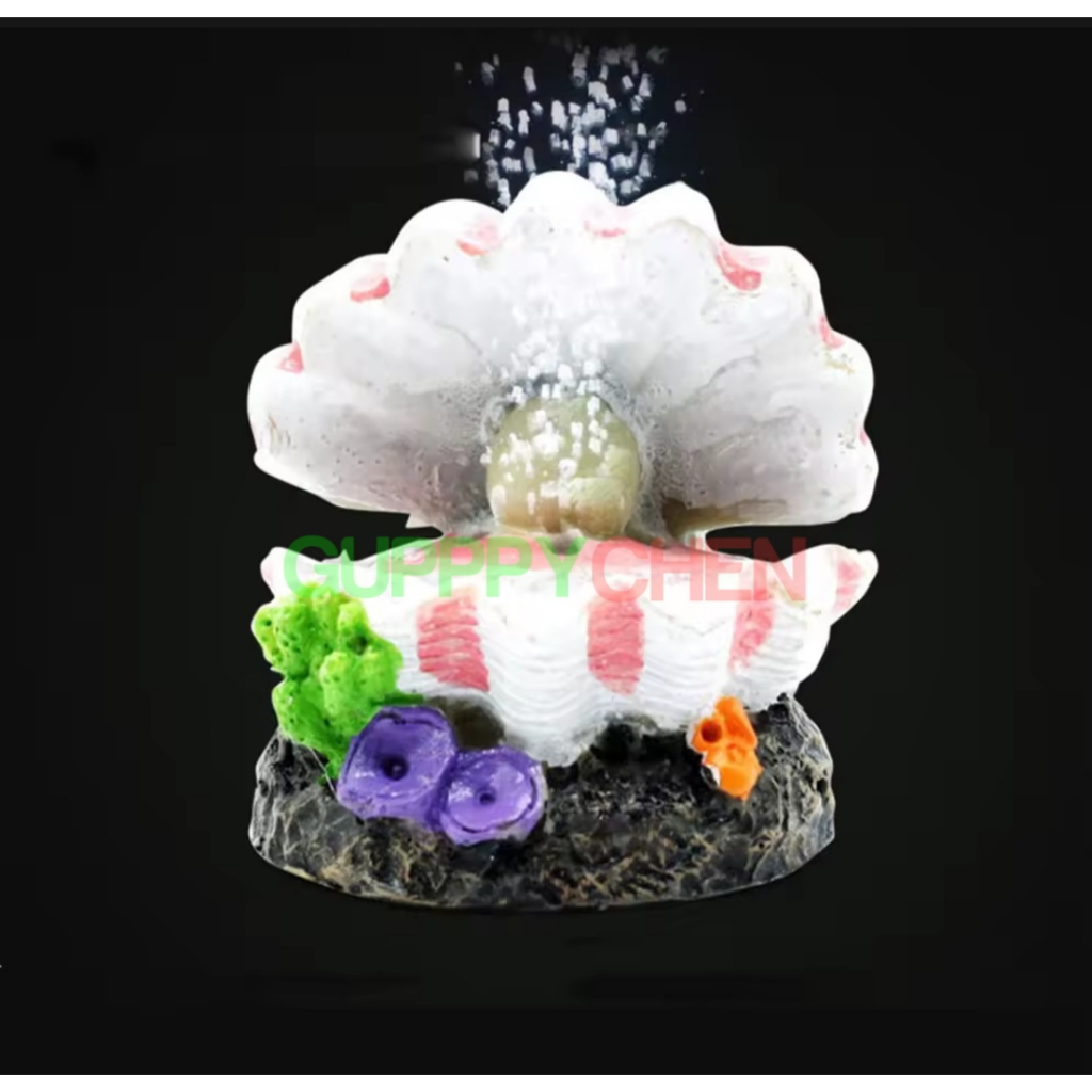 Mô Hình Vỏ Sò Trang Trí Hồ Cá - Có Thể Kết Hợp Máy Bơm Để Sủi Oxi