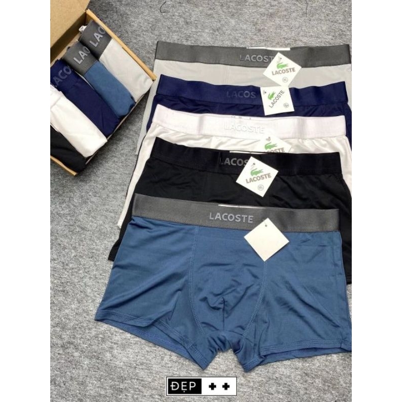 Quần chip nam cotton thoáng mát