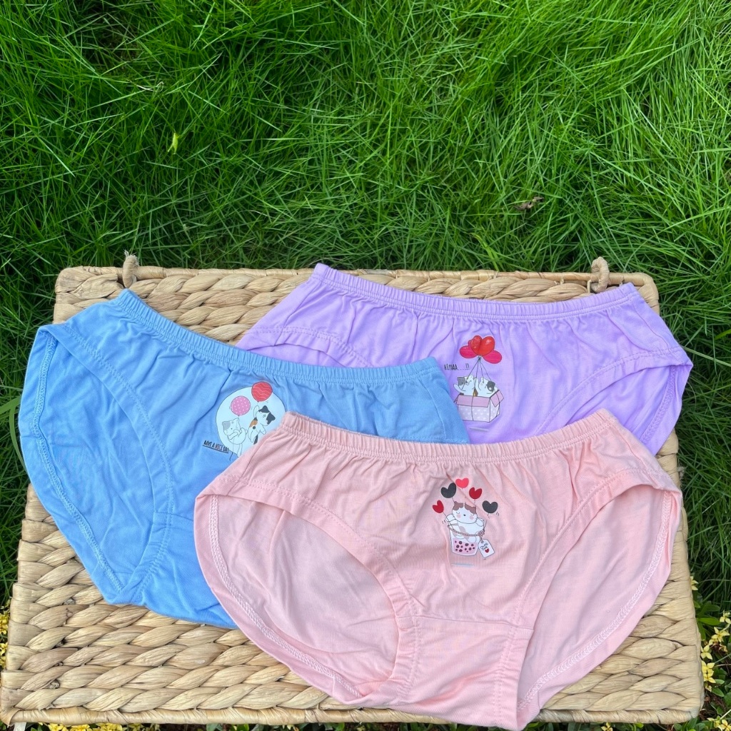 Quần chip cho bé gái Gee Kids, set 3 sịp bé gái sx tại VN, 10-65kg, quần lót sợi tre, sợi sồi mềm mịn, thấm hút, co giãn