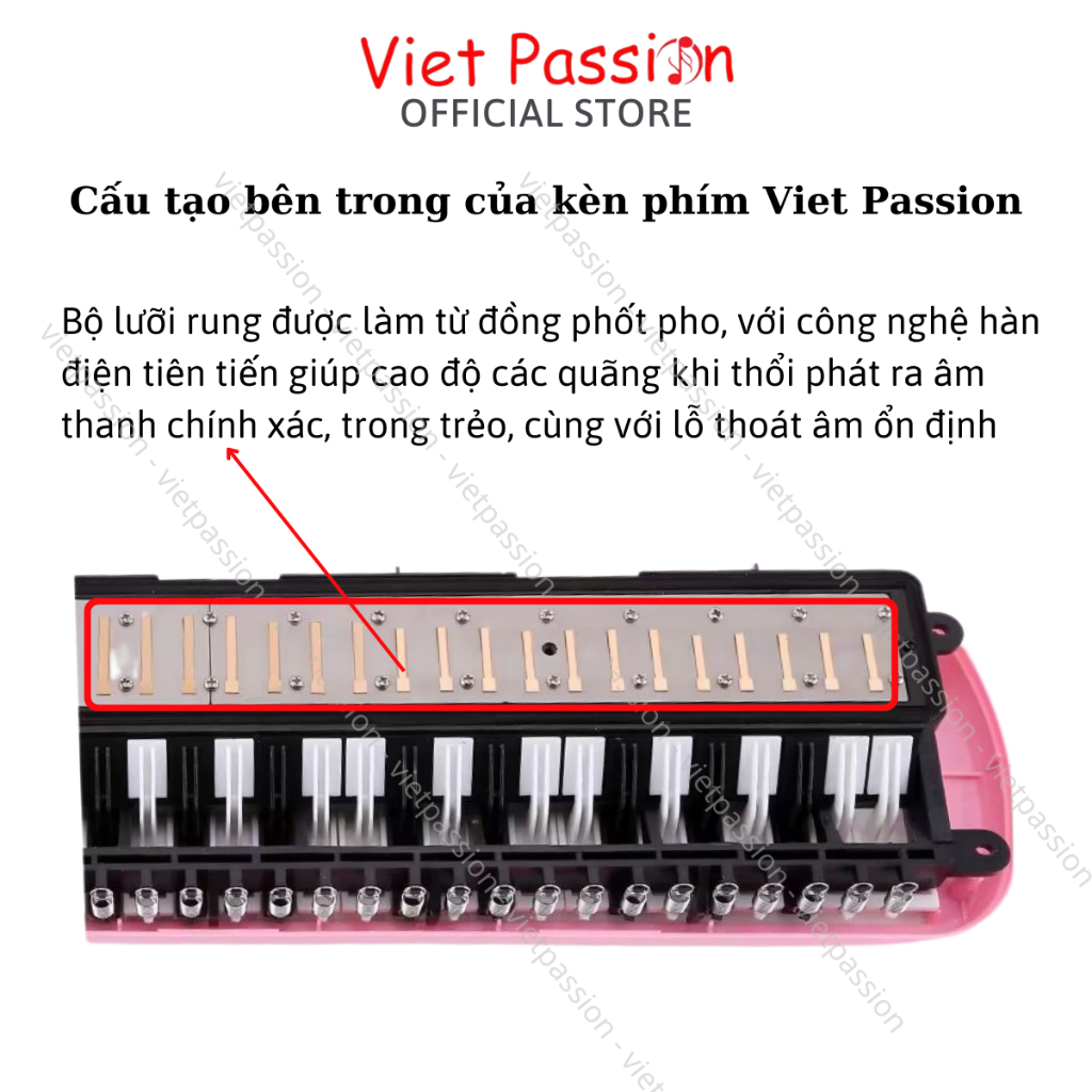 Kèn Phím Melodica 32 phím và Melodion 37 phím có ống thổi dài Tặng kèm túi đựng Viet Passion HCM