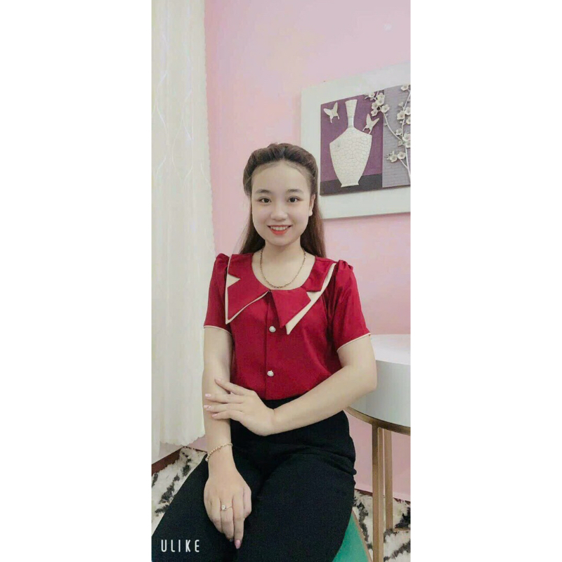 Áo công sở có bâu full size 968