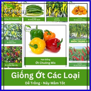Hạt giống ớt các loại dễ trồng, nảy mầm tốt