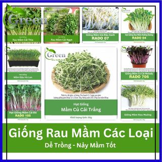 Hạt giống rau mầm nhiều loại dễ trồng, nảy mầm tốt