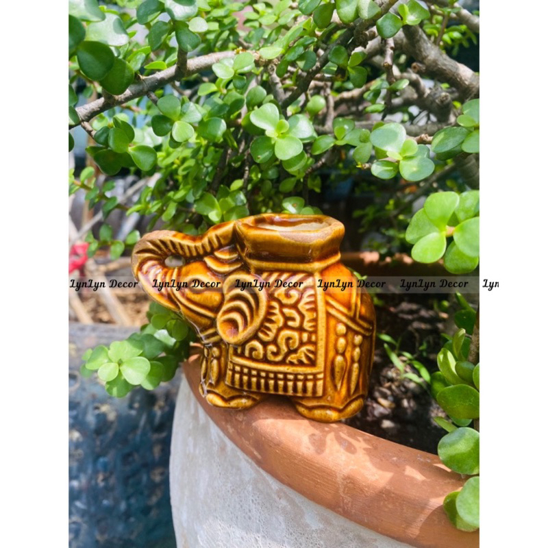 Voi Đựng Tăm Có 4 Màu