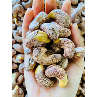 500GR ĐIỀU RANG MUỐI A CỒ ĐẮK LẮK