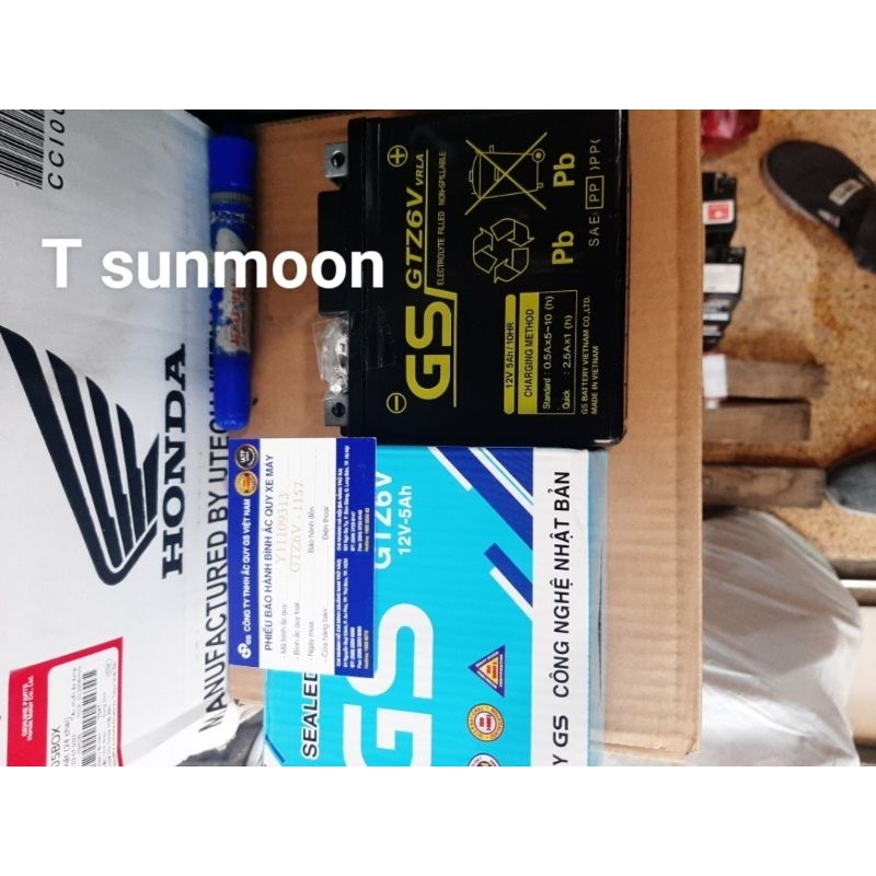 Bình ắc quy GS GTZ 6V  gs