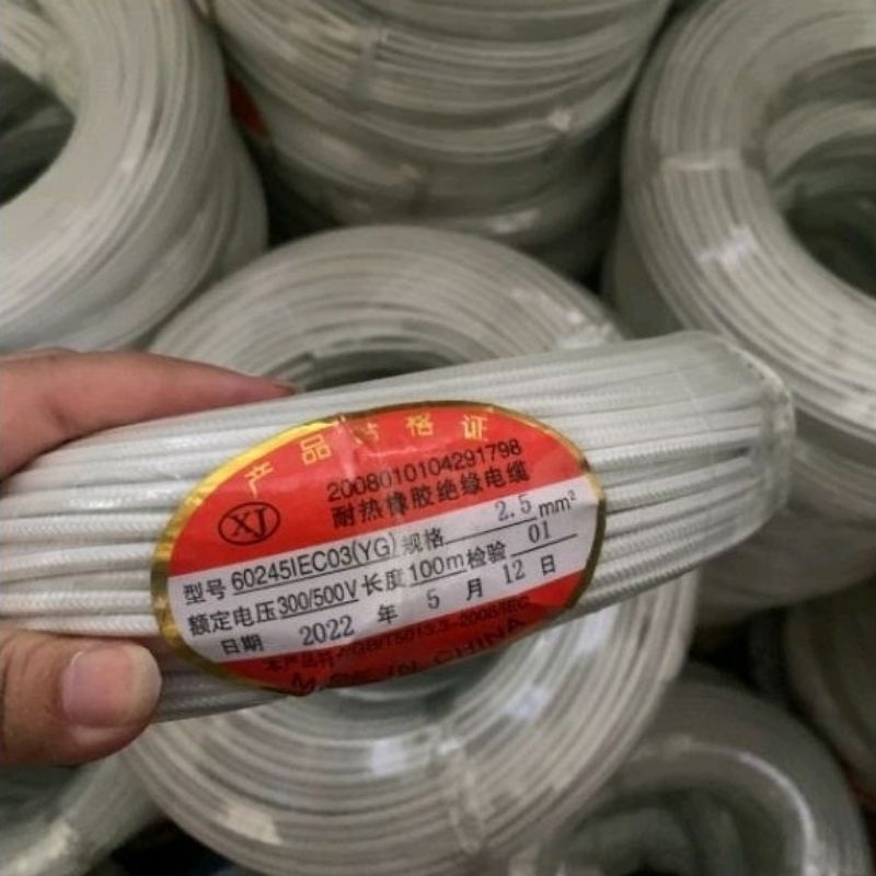 EAK - Chỉnh nhiệt bếp chiên nhúng , máy ép ly , máy hàn ống nước 200 / 300 độ 16A 250V