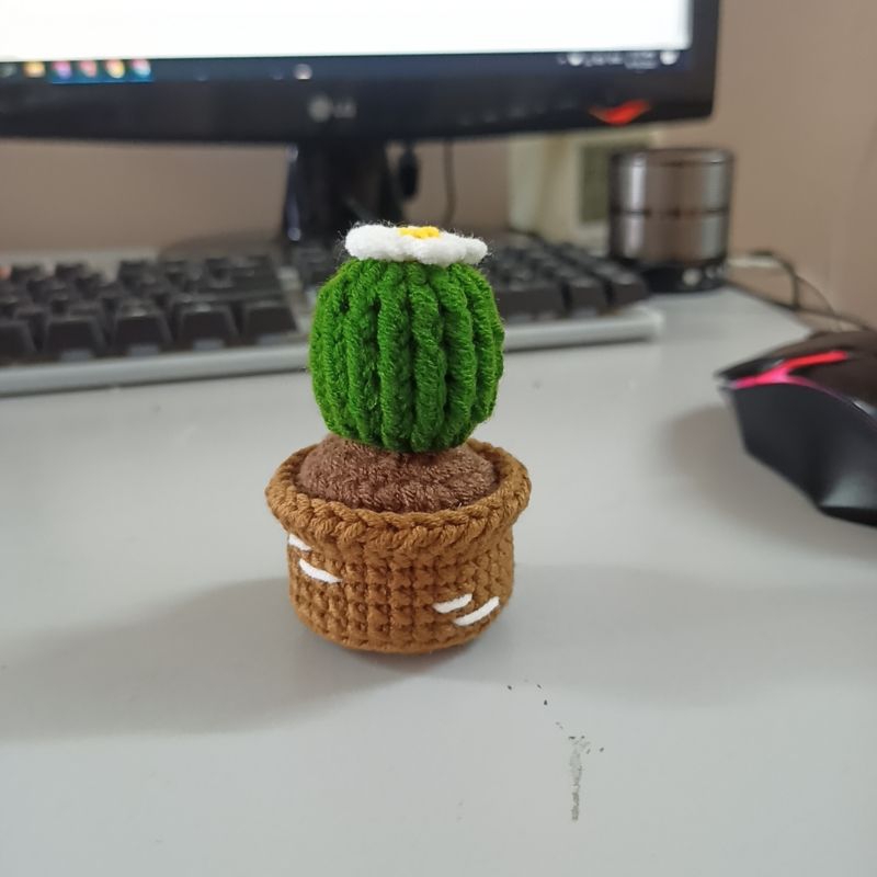 Chậu cây xương rồng mini bằng len trang trí bàn học, bàn làm việc - Cactus Crochet Handmade