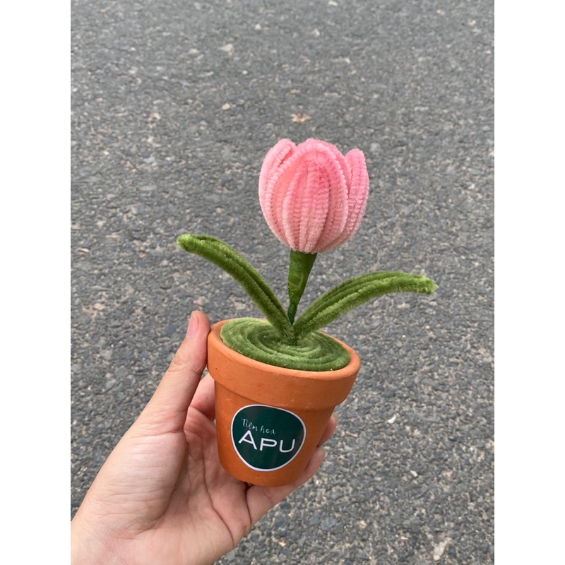 Chậu hoa kẽm nhung mini size