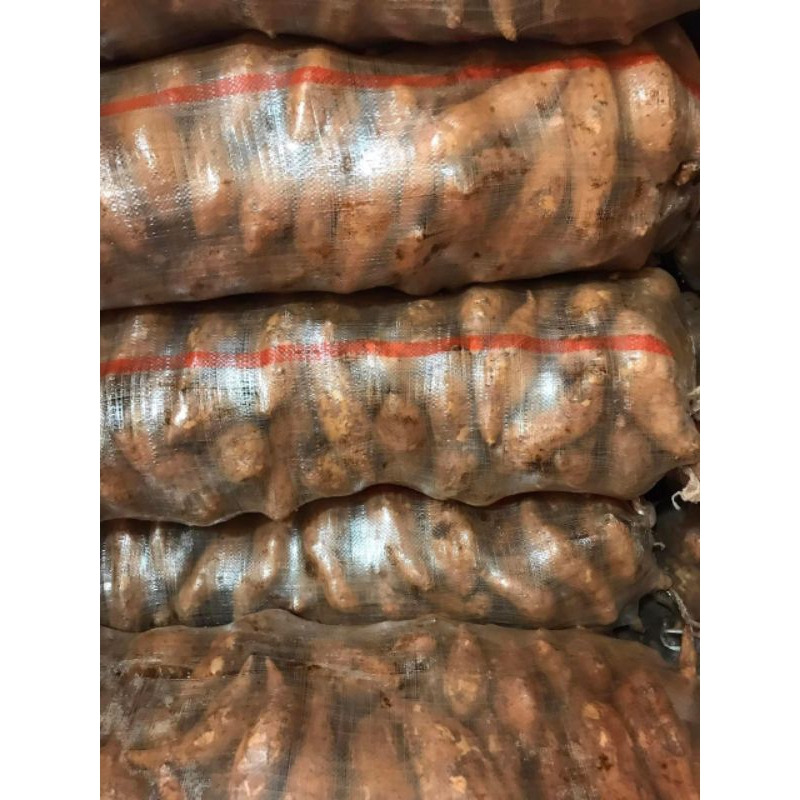 Khoai lang mật Lào Cai