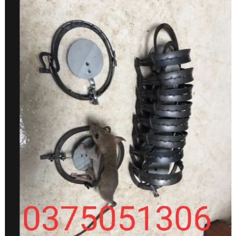 Cạm Chuột  9cm Hàng Loại1