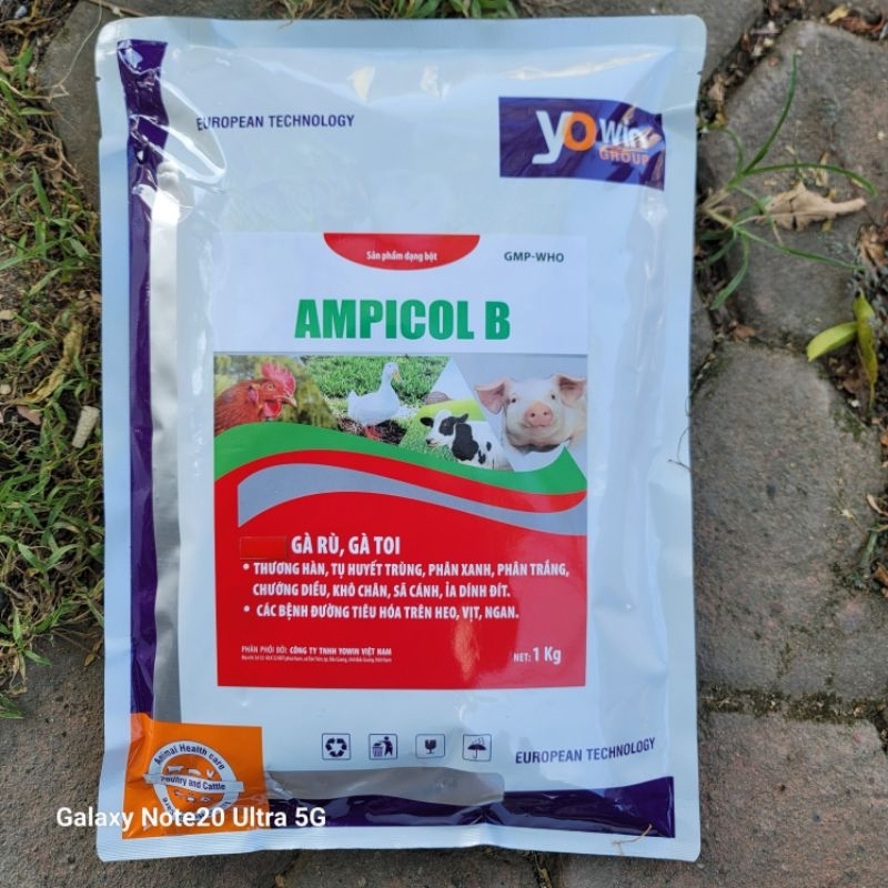 Gói Ampicol B gà rù gà toi, tụ huyết trùng, chướng diều, khô chân, phân xanh, phân trắng dùng cho thú cưng