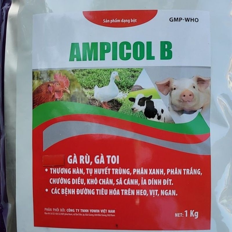 Gói Ampicol B gà rù gà toi, tụ huyết trùng, chướng diều, khô chân, phân xanh, phân trắng dùng cho thú cưng