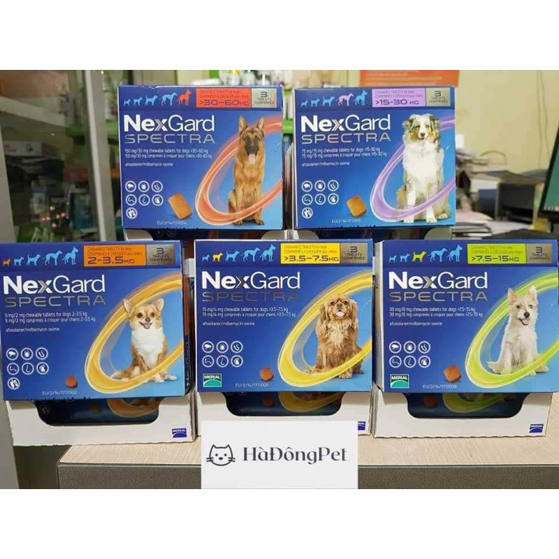 NexGard và NexGard Spectra - diệt Ve Rận Bọ Chét Ghẻ Demodex trên Chó
