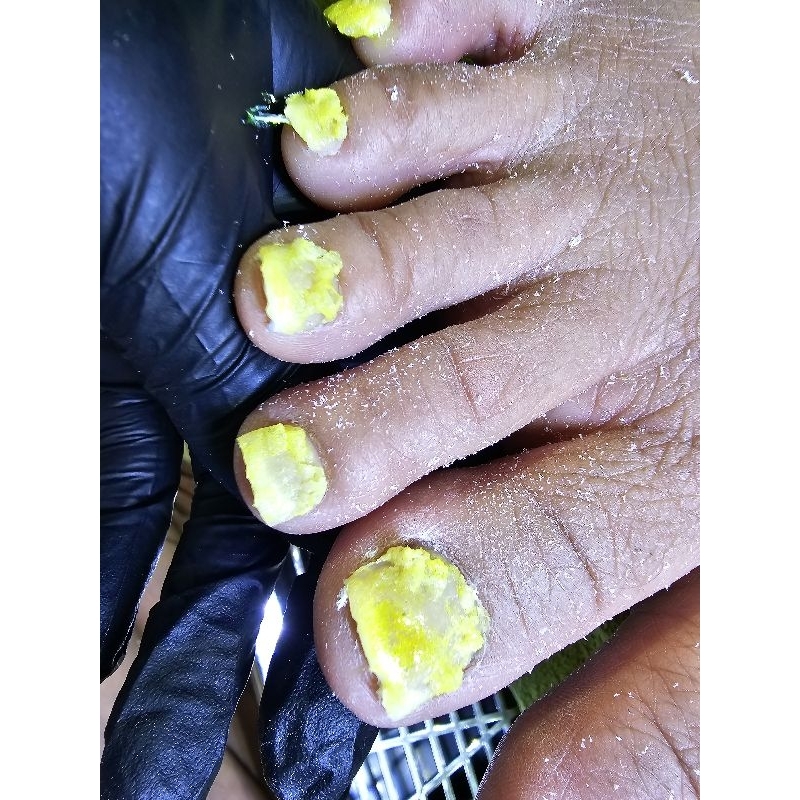 PHÁ BỘT Heyu tặg coco