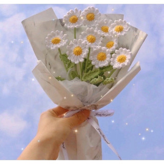 Cúc họa mi