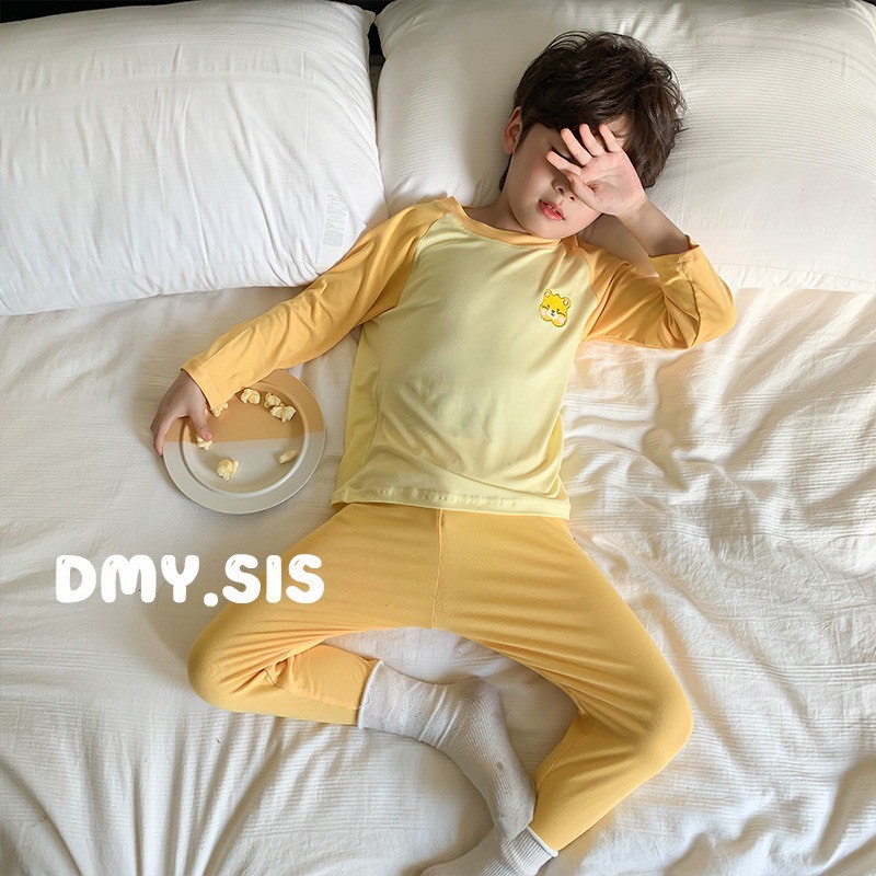 Bộ quần áo dài tay thu đông cho bé HK KIDS, bộ thun mỏng dài tay cho bé mặc mùa thu