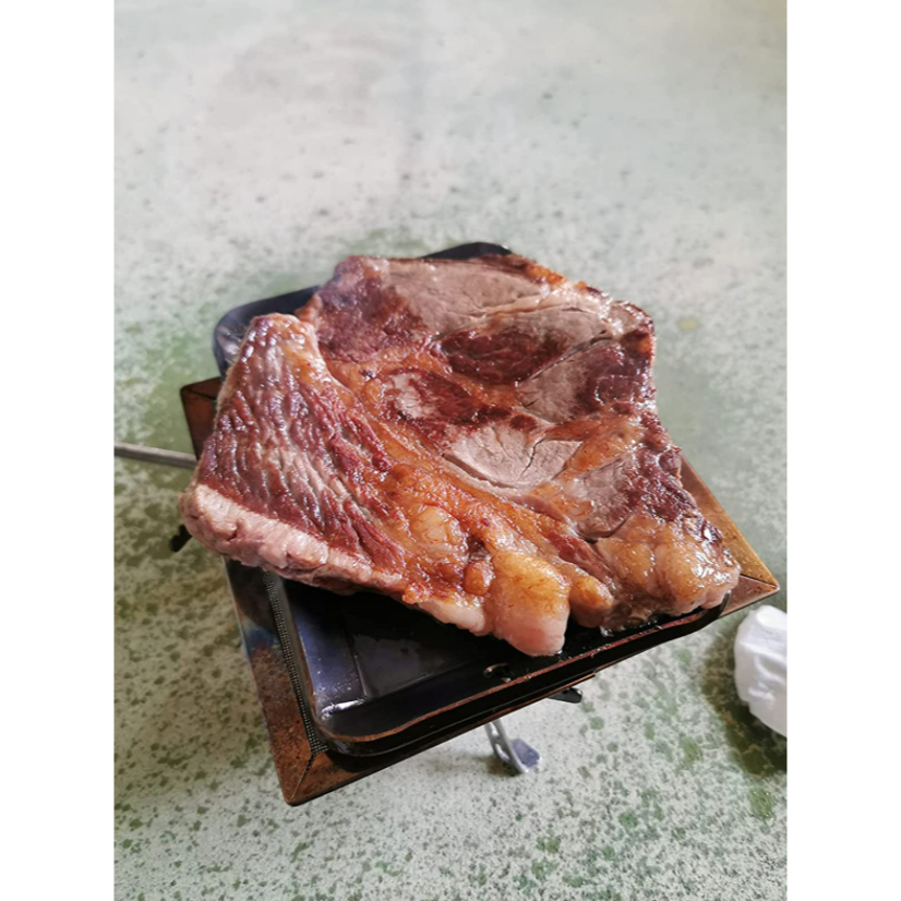 Tấm lưới tụ nhiệt Campingmoon US-120/US-150