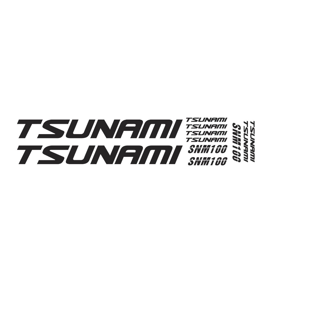 Tem TSUNAMI SNM100 Custom Fixed Gear