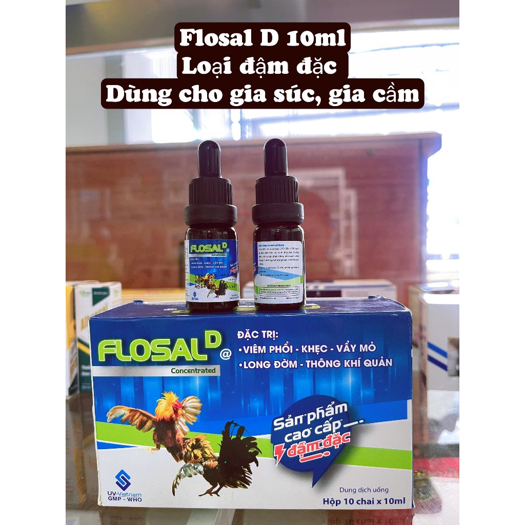 Flosal D dung dịch đậm đặc x2 10ml