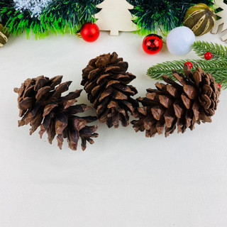 Quả/trái thông khô tự nhiên trang trí noel cây thông trang trí giáng sinh decor có nhiều size