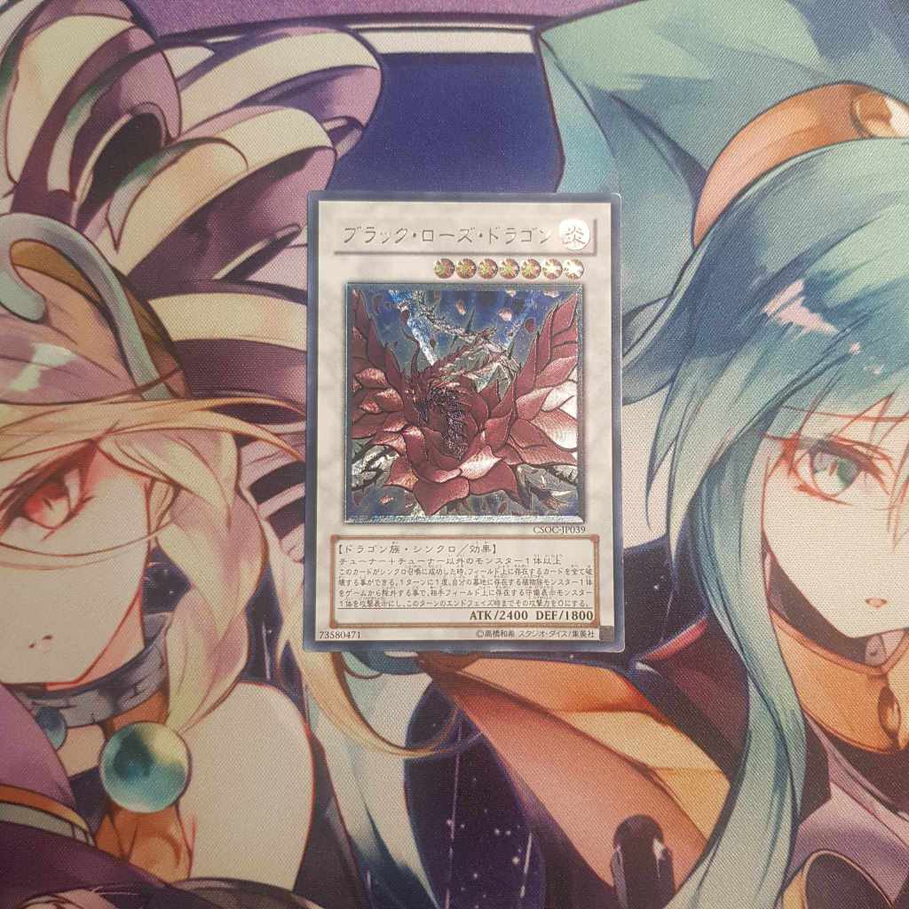 Black Rose Dragon CSOC-JP039