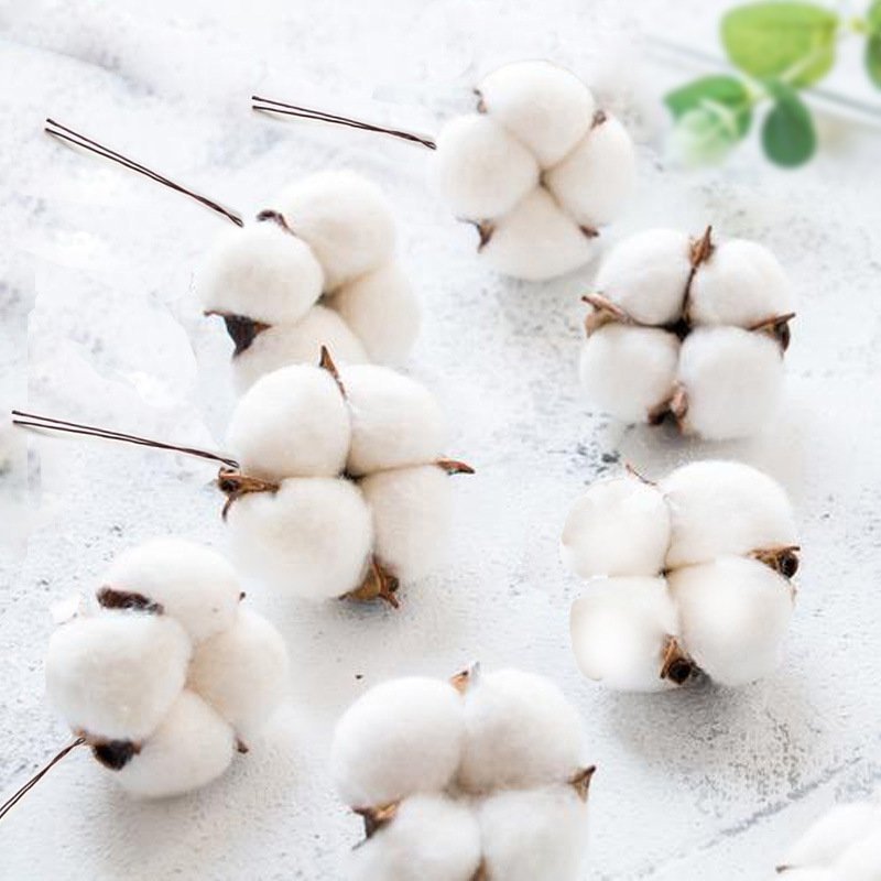 Hoa bông gòn khô nhiều màu - Trang trí noel, trang trí tết, decor