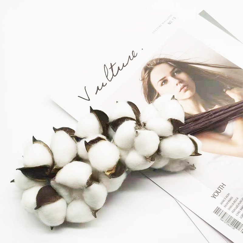 Hoa bông gòn khô nhiều màu - Trang trí noel, trang trí tết, decor