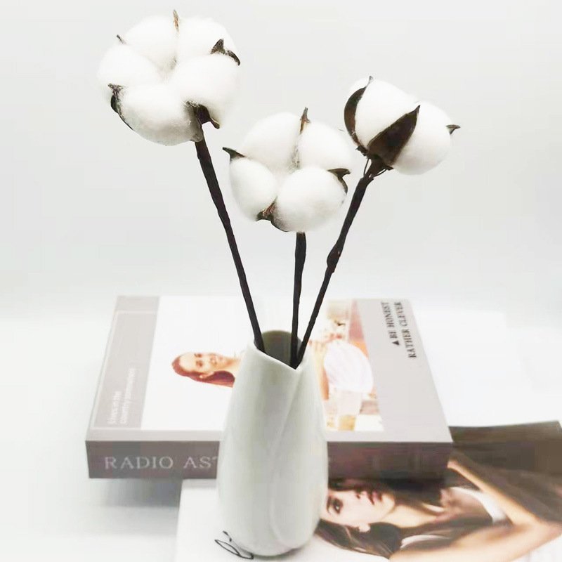 Hoa bông gòn khô nhiều màu - Trang trí noel, trang trí tết, decor