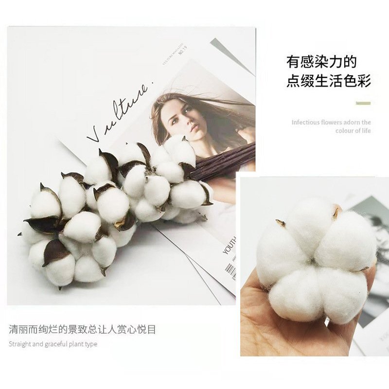 Hoa bông gòn khô nhiều màu - Trang trí noel, trang trí tết, decor