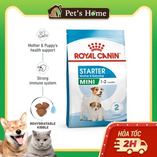 1kg Hạt Royal Canin Mini Starter Mother & Baby dog cho chó mẹ và chó con tập ăn