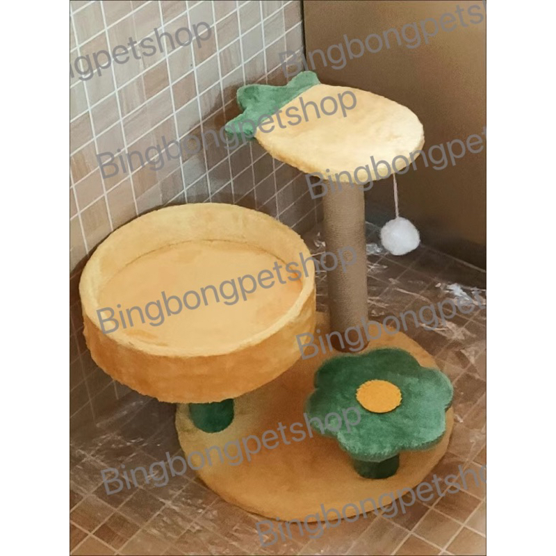 Cattree TRÁI THƠM, XƯƠNG RỒNG,  nâu , CARROT đủ loại