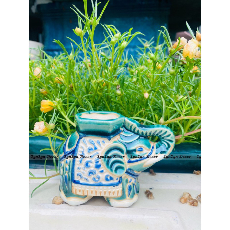 Hủ Tăm Hoạ Tiết Hình Voi