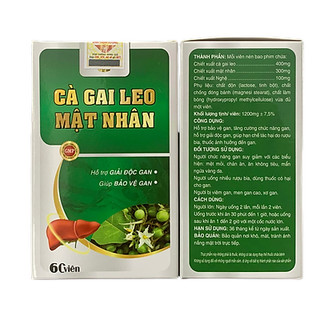 Cà Gai Leo Mật Nhân Kingphar - Tăng cường chức năng gan